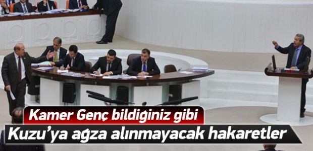 Kamer Genç'ten Meclis'te şok hakaretler