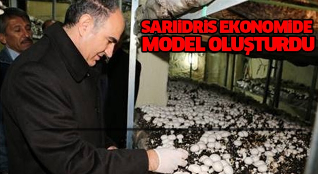 SARIİDRİS EKONOMİDE MODEL OLUŞTURDU