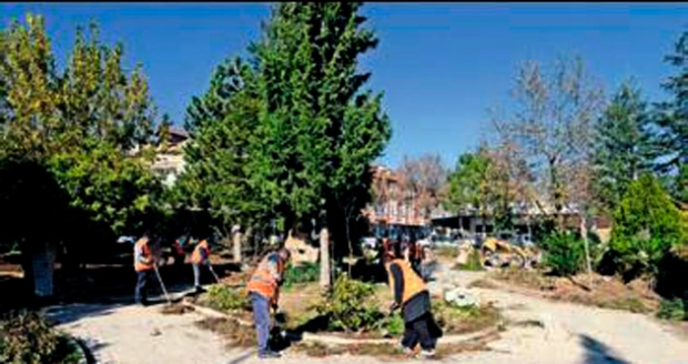Isparta'da lale devri yaşanıyor