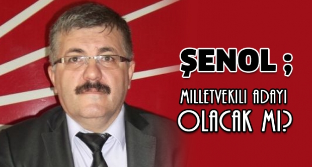 Vedat Şenol Milletvekili Adayı Olacak mı?