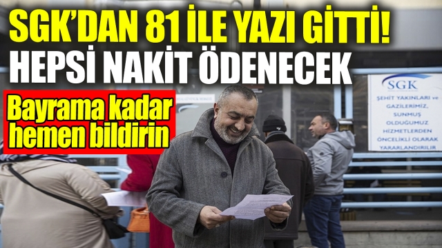 81 İle Gönderilen Yazı ve Başvuru Detayları