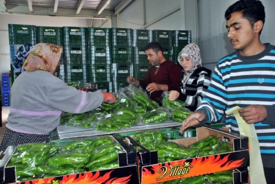 RUSYA'DAKİ DEVALÜASYON TÜRKİYE’Yİ VURDU