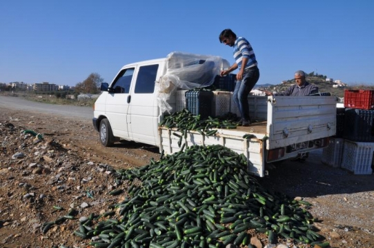 SALATALIĞI ÇÖPE DÖKTÜ AMA ÖZÜR DİLEDİ