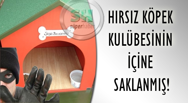Polisten Kaçtı, Köpek Kulübesinde Yakalandı
