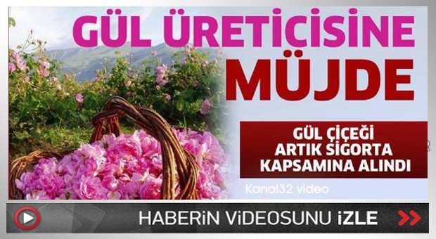 Gül üreticilerine müjde
