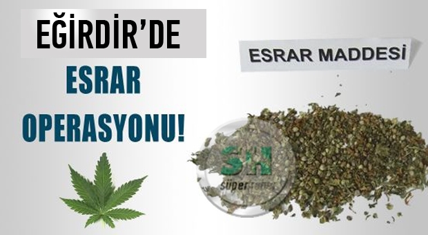 Eğirdir'de esrar operasyonu