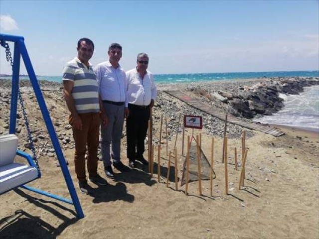 Arsuz'da deniz kaplumbağası yuvalama alanları korumaya alındı
