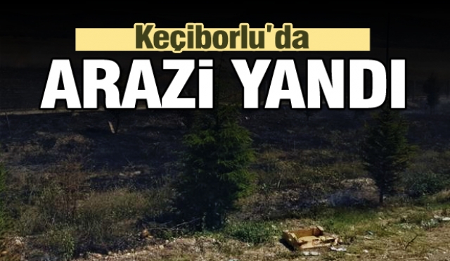 Isparta'da arazi yangını