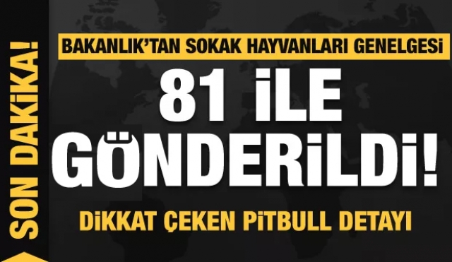 Haber: 81 ile sokak hayvanları genelgesi gönderildi