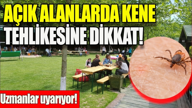 Açık Alanlarda Kene Tehlikesine Dikkat! Uzmanlar Uyarıyor