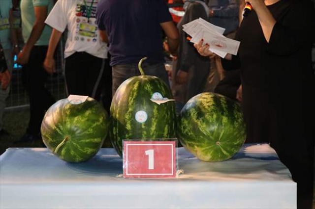 ​Adana'da "3. Karpuz Festivali" düzenlendi