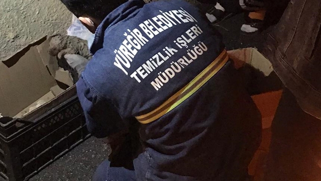 Adana'da çamura saplanan köpek yavruları kurtarıldı