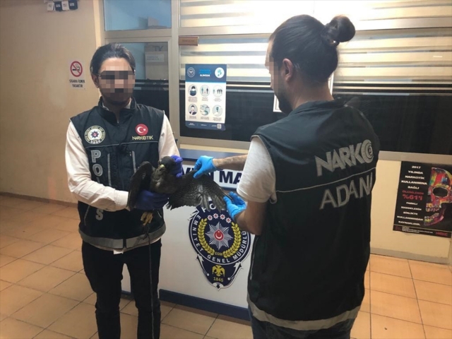 Adana'da otomobilde uyuşturucu arayan polis ölü yabani kuş buldu