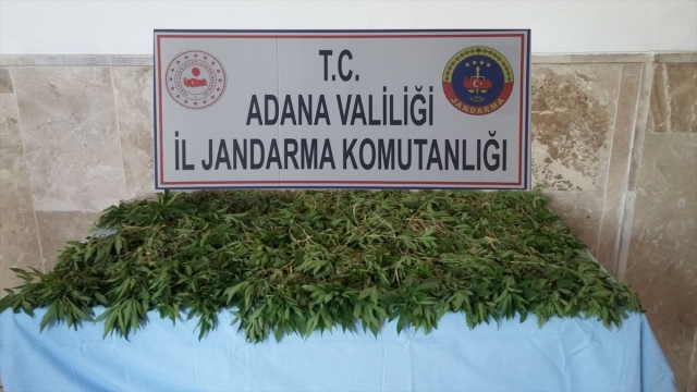 Adana'da uyuşturucu operasyonu