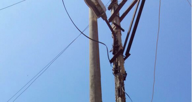 Akıma kapılan karga, elektrik kesintisine neden oldu