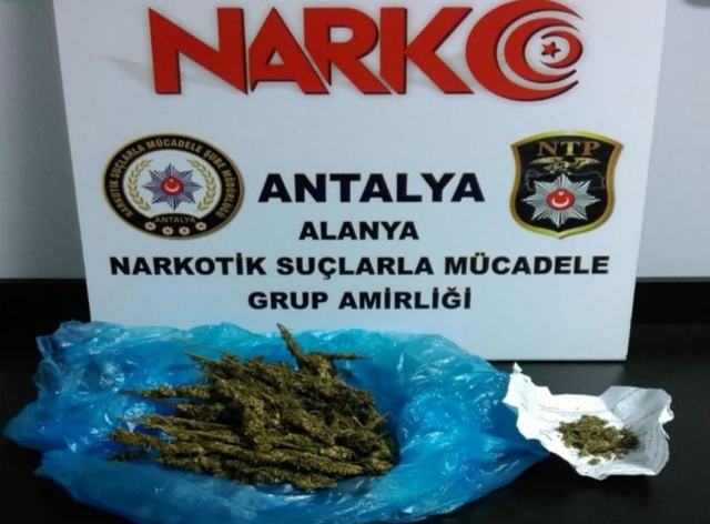 Alanya’da uyuşturucu operasyonu   