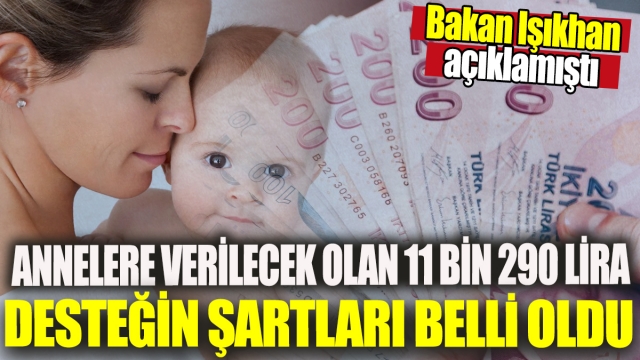 Annelere Verilecek 11.290 TL Desteğin Şartları Netleşti!