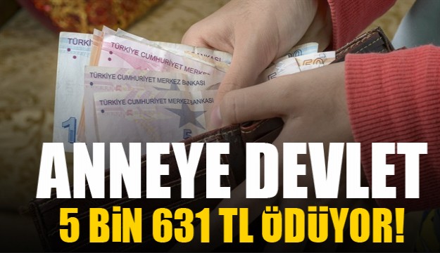 Anneye devlet 5 bin 631 TL ödüyor