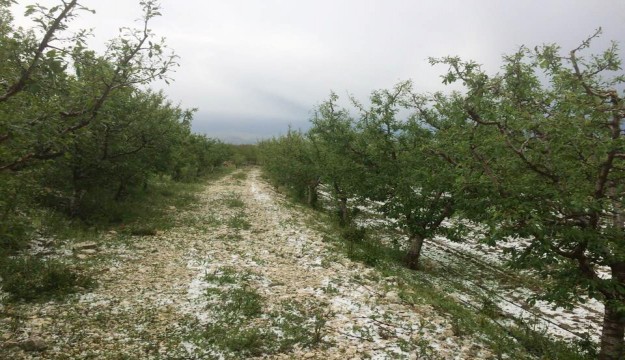  Antalya’da meyve üreticisini dolu ikinci kez vurdu   
