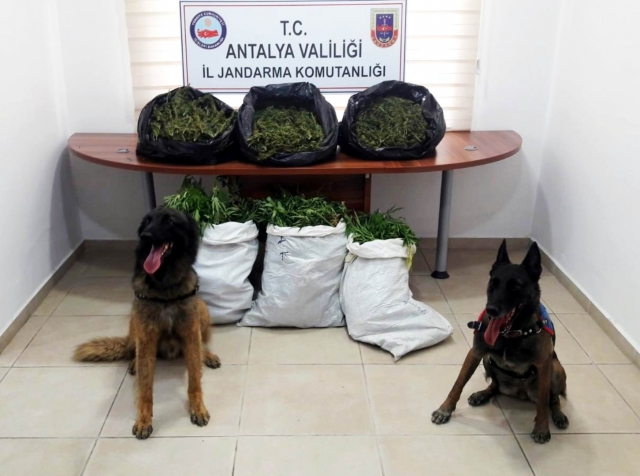 Antalya’da uyuşturucu operasyonlarına 15 tutuklama   