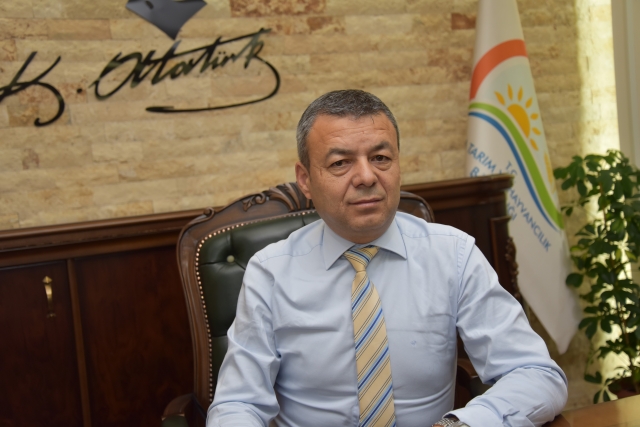 Antalya yerli kara sığır sayısı arttırılacak   