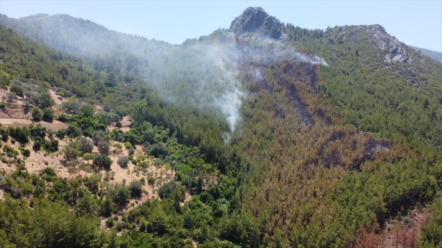 Antalya'da çıkan yangında 3 hektar orman alanı zarar gördü