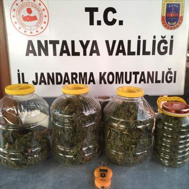 Antalya'da esrar oparasyonu