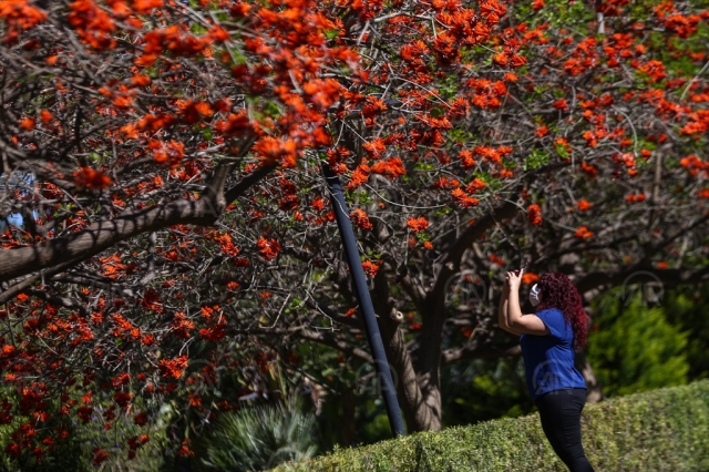 Antalya'da ilkbahar