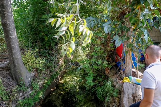 Antalya'da kanalda "leş" tepkisi