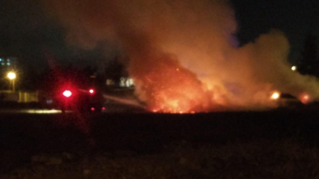 Antalya'da korkutan sazlık yangını 