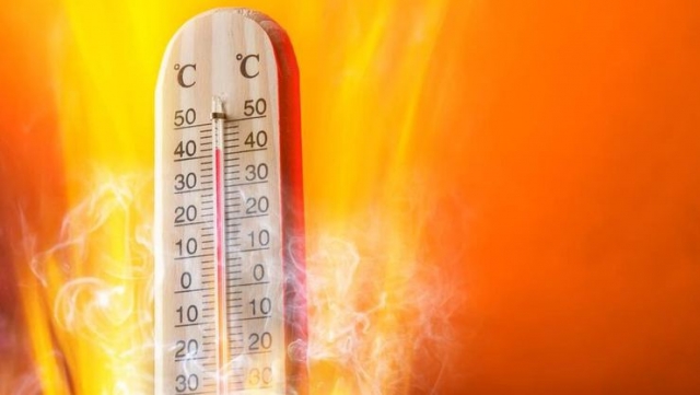  Antalya'da pastırma sıcakları devam ediyor 