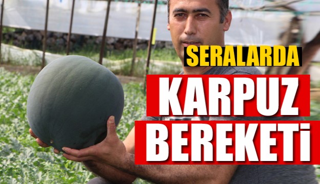 Antalya'da Seralarda karpuz bereketi