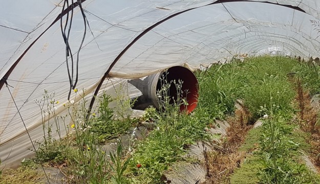 Antalya'da yoldan çıkan tırdaki borular çilek tarlasına düştü