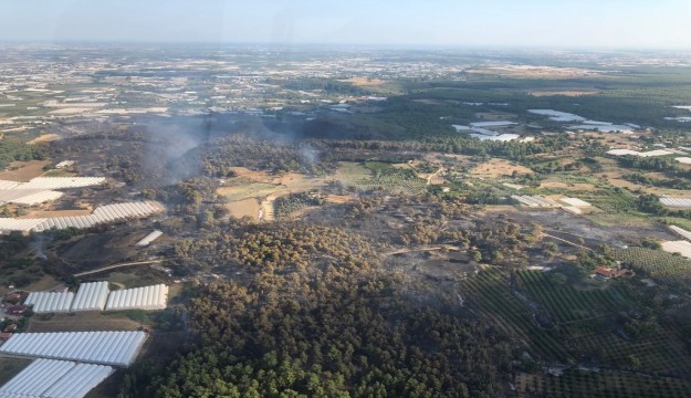 Antalya'daki orman yangınıyla ilgili açıklama 