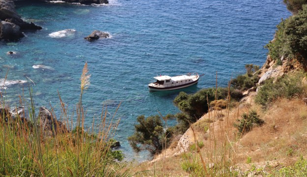 Antalya'ya tekneyle gelen kaçak mülteciler muz bahçesinde yakalandı 