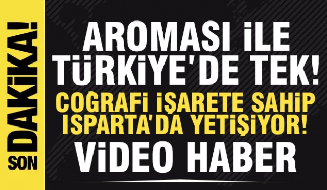 Aroması ile Türkiye'de Tek Ürün Isparta'da Yetişiyor! Video Haber