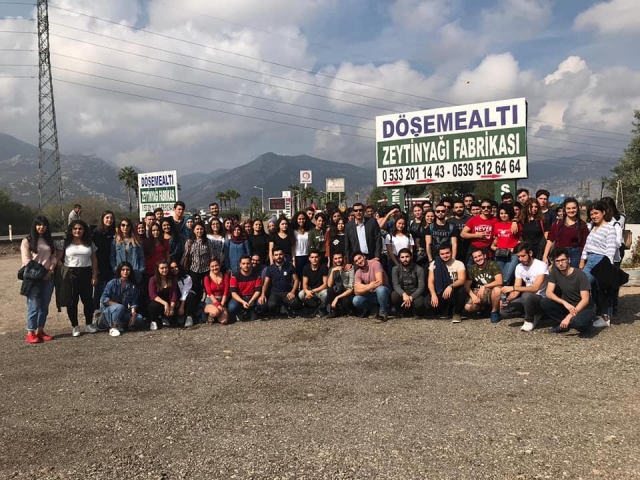 Aşçı Adayları Zeytinyağı fabrikasını gezdi   