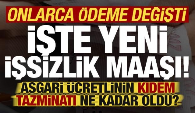 Asgari Ücret Zammıyla Birlikte İşsizlik Maaşı ve Diğer Ödemeler Yenilendi