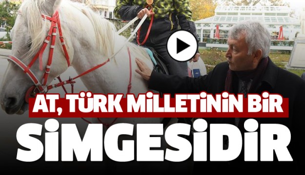 AT, TÜRK MİLLETİNİN BİR SİMGESİDİR