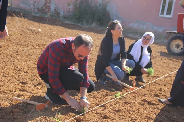 Atabey'de Romen Papatyası ve Melisa Dikimi Etkinliği