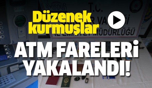 Atm Fareleri Tutuklandı