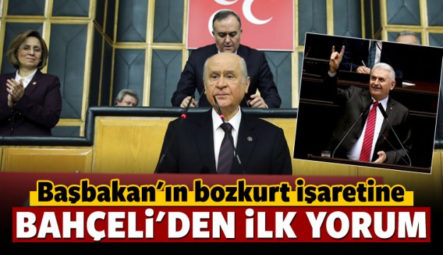 Bahçeli'den Yıldırım'ın Bozkurt işaretine açıklama