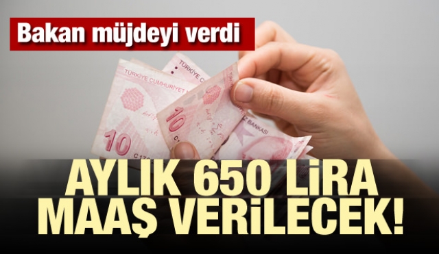 Bakan müjdeyi verdi! Aylık 650 lira maaş verilecek