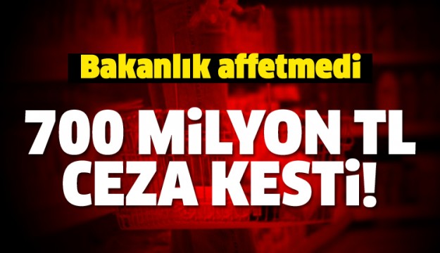 BAKANLIK AFFETMEDİ 700 MİLYON TL CEZA!