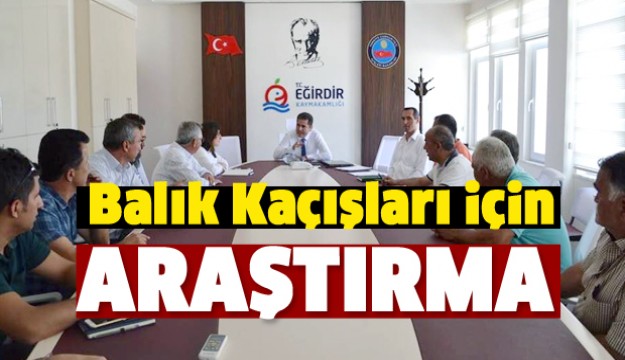 BALIK KAÇIŞLARI İÇİN ARAŞTIRMA YAPILACAK