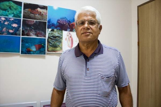 Balıkçılara "Akdeniz foku" uyarısı