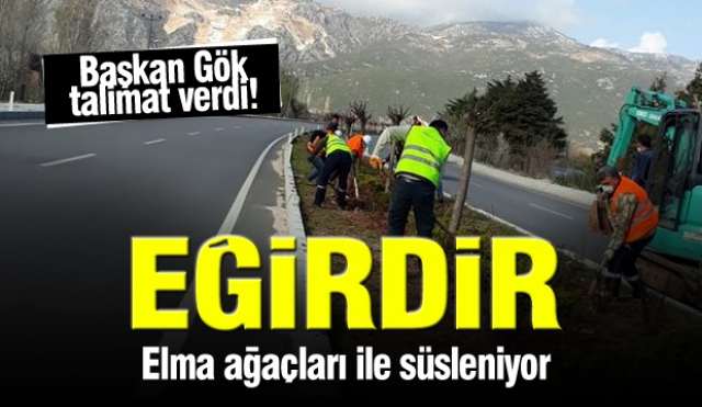 Başkan Gök talimat verdi! Eğirdir elma ağaçları ile süsleniyor