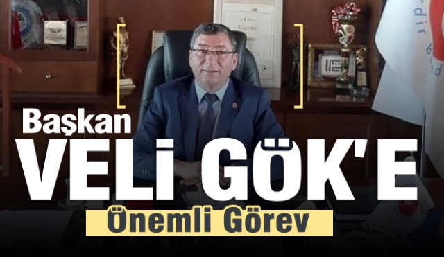 Başkan Veli Gök'e önemli görev