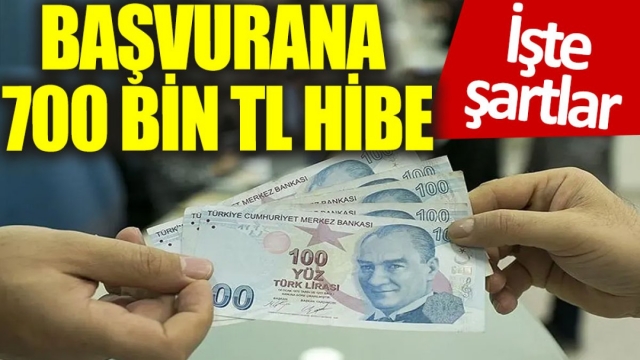 Başvurana 700 Bin TL Hibe Verilecek: İşte Şartlar ve Detaylar