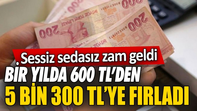Bir Yılda 600 TL’den 5.300 TL’ye